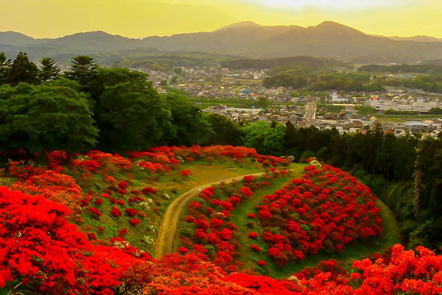 茨城県・笠間市